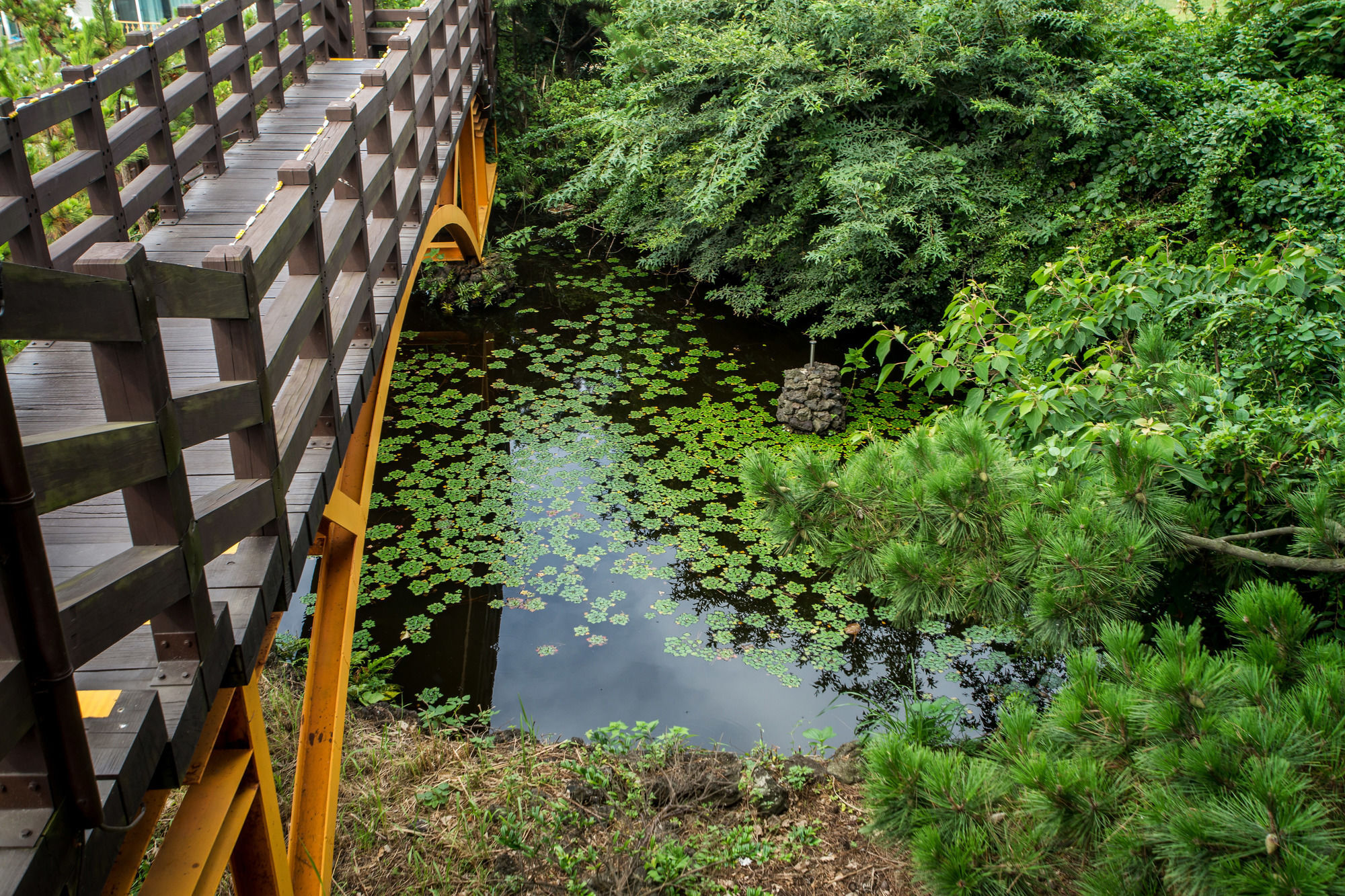 Witch'S Broomstick Jeju Exterior foto